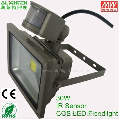 30w Ir Sensor Led Floodlight With Meanwell Power Supply